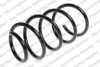 ROC CS7170 Coil Spring